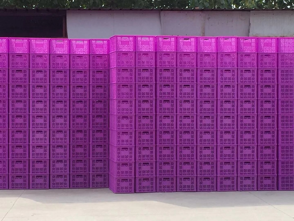 蛋筐